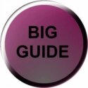 Pure button for Big Guide link
